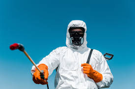 Best Termite Inspection and Treatment  in Coolidge, AZ